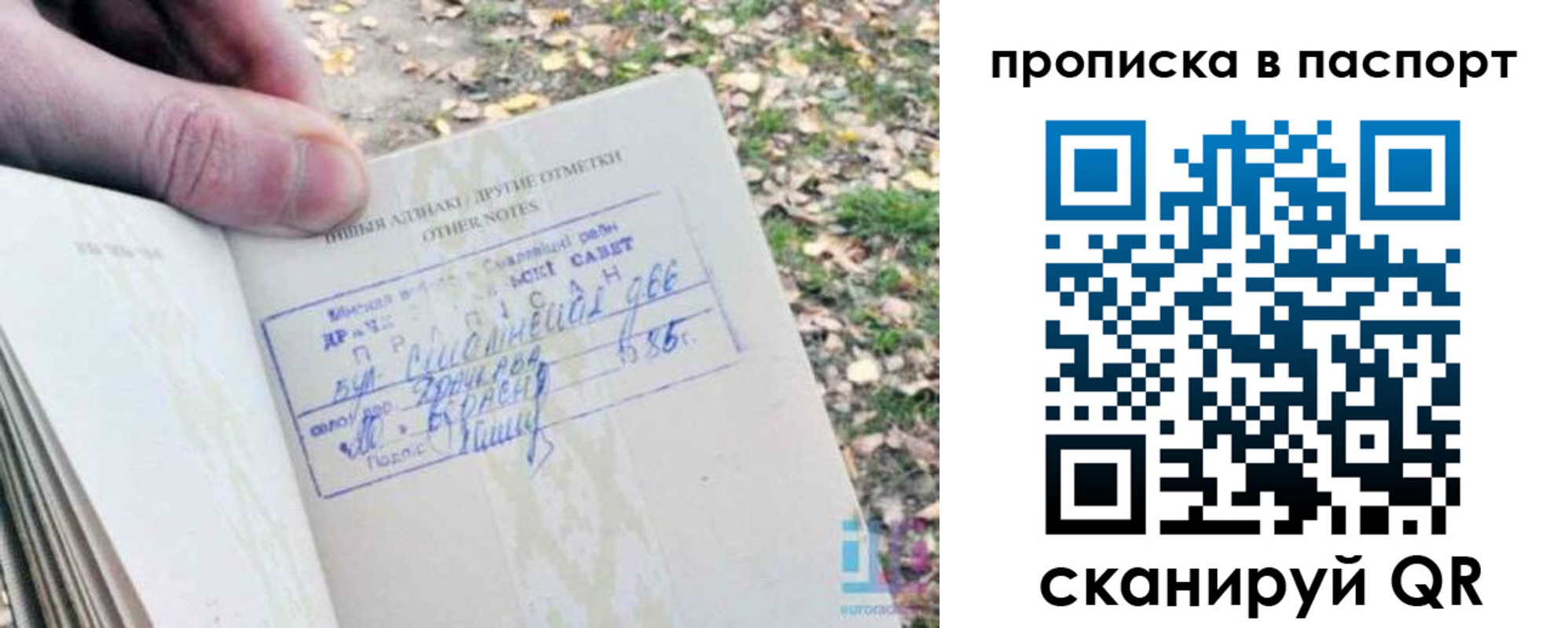 купить прописку в Сланцах